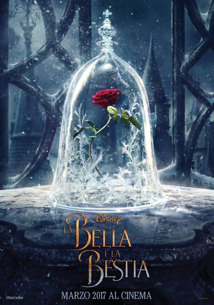 Red Rose in Beauty and the Beast